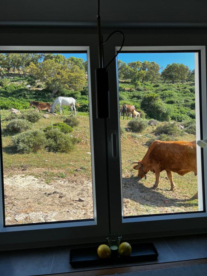 Cortijo Las Cabrerizas Facinas Exteriör bild
